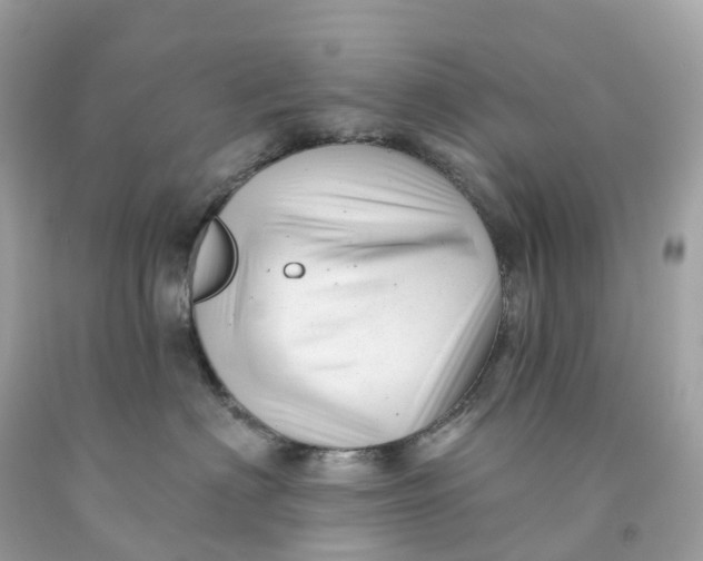 X0000091470622200709061819