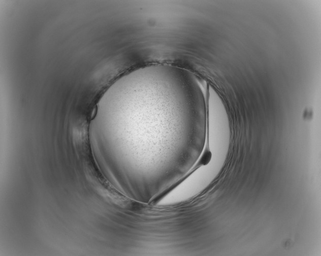 X0000091470623200709061819