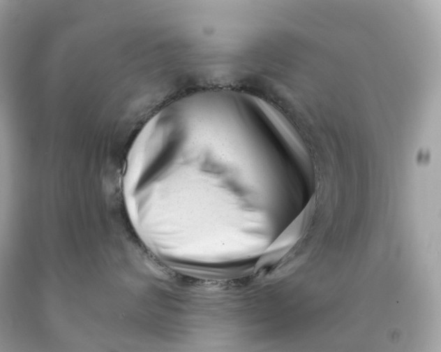 X0000091470624200709061819