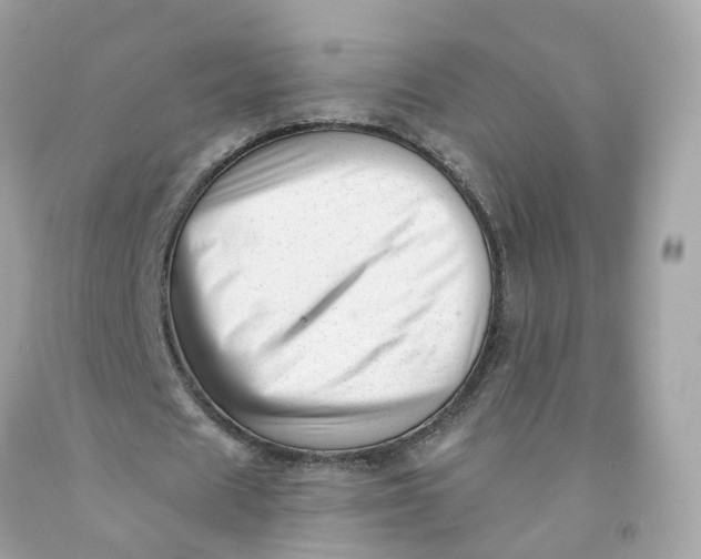 X0000091470625200709061819