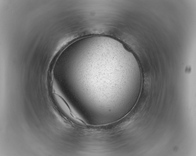 X0000091470626200709061819