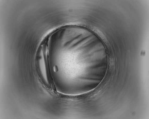 X0000091470628200709061819