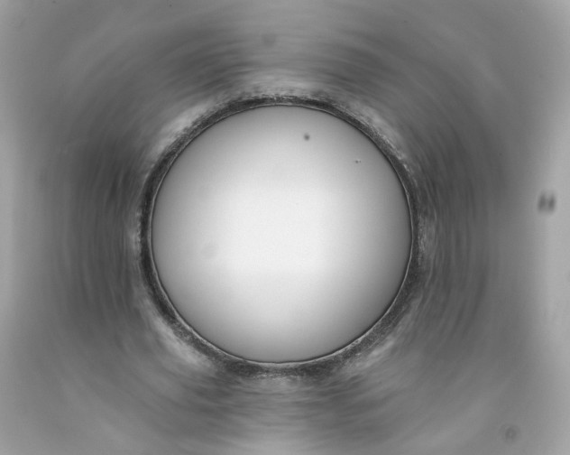 X0000091470629200709061819