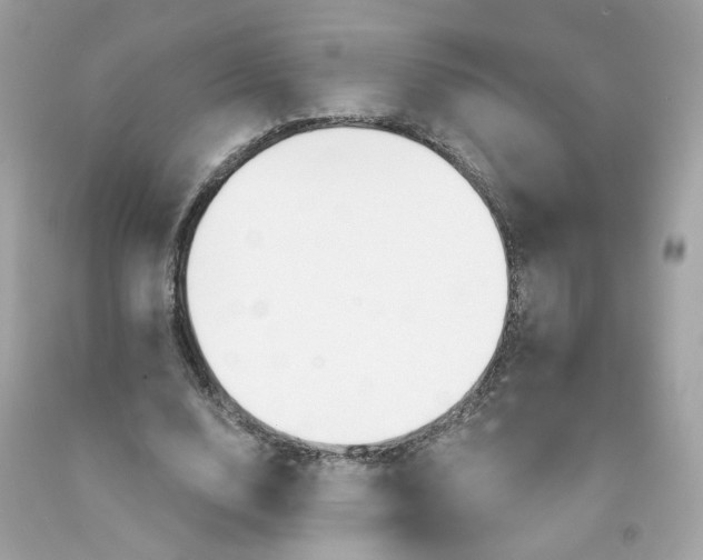 X0000091470632200709061819