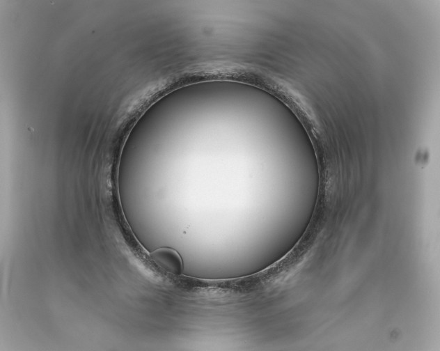 X0000091470633200709061819