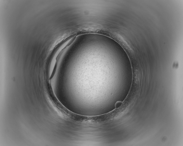 X0000091470634200709061819