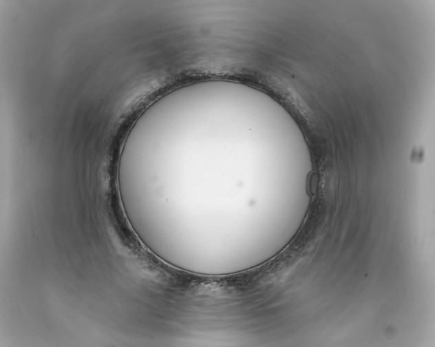 X0000091470635200709061819