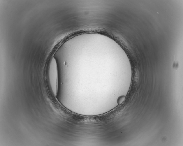 X0000091470636200709061819