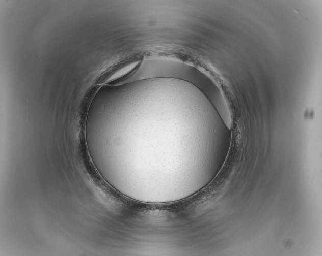 X0000091470637200709061819