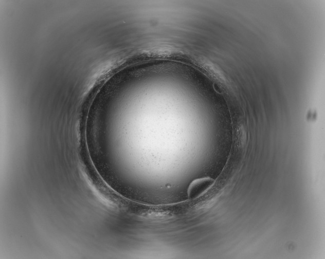 X0000091470638200709061819