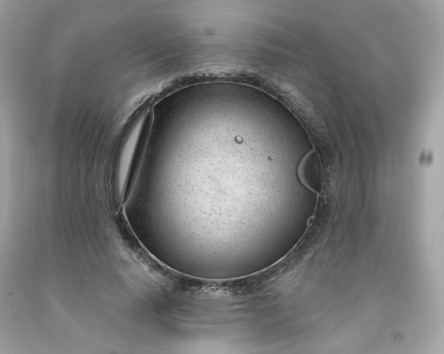 X0000091470640200709061819