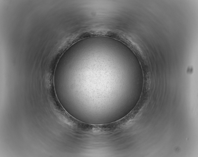 X0000091470641200709061819