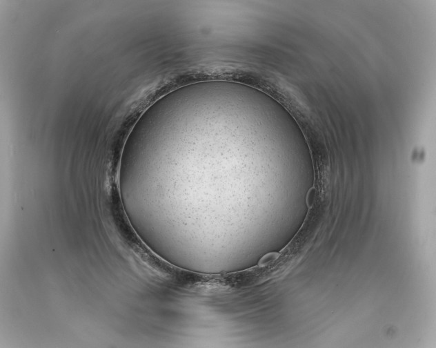 X0000091470644200709061819