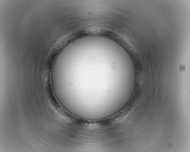 X0000091470645200709061819