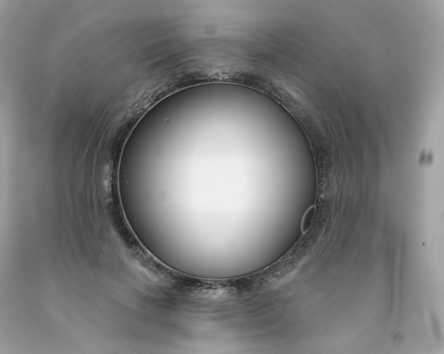 X0000091470646200709061819