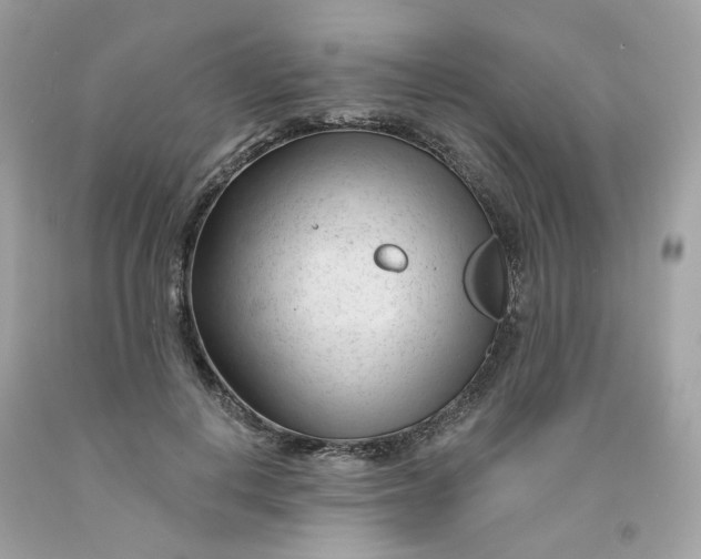 X0000091470648200709061819