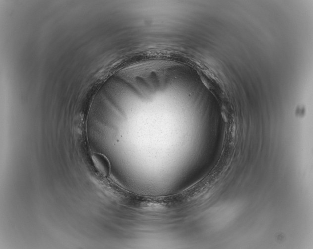 X0000091470649200709061819