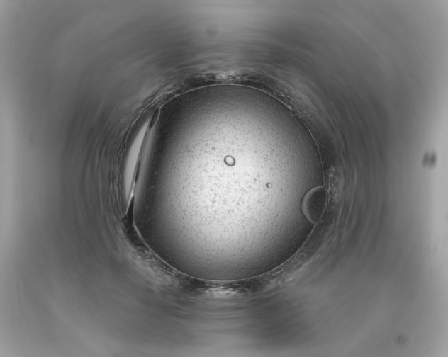 X0000091470650200709061819