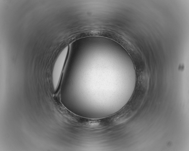 X0000091470651200709061819