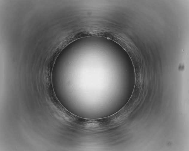 X0000091470653200709061819