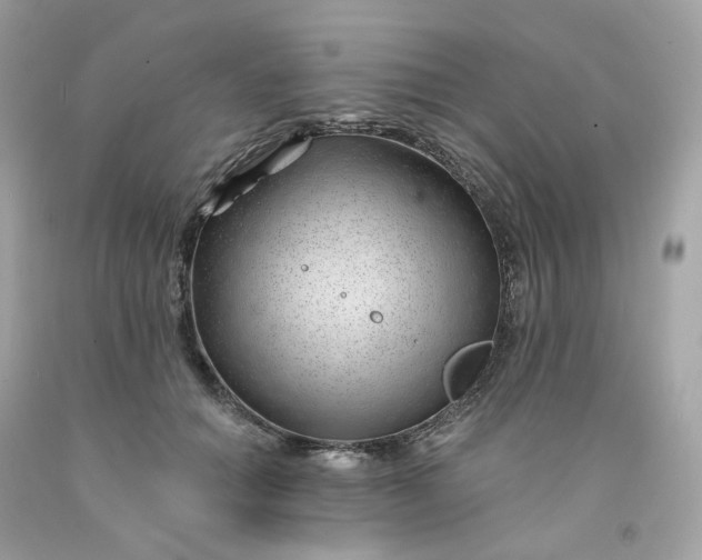 X0000091470654200709061819