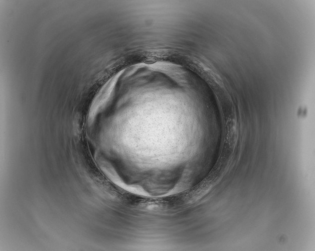 X0000091470655200709061819