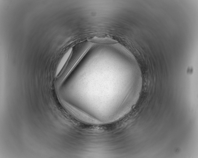 X0000091470656200709061819