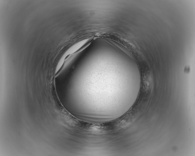 X0000091470657200709061819