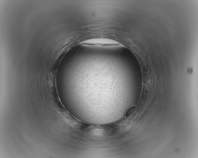 X0000091470658200709061819