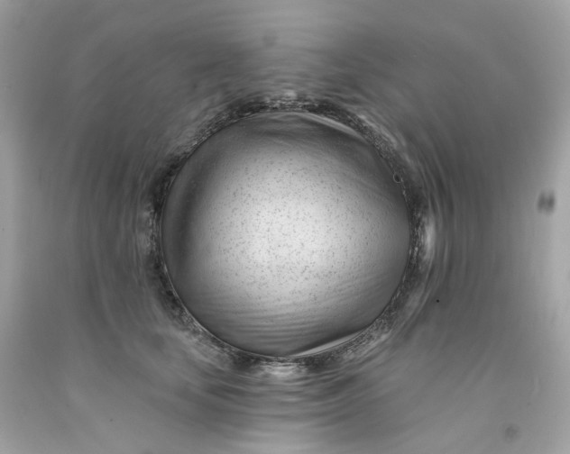 X0000091470659200709061819