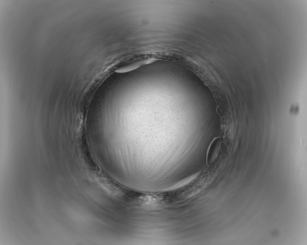 X0000091470660200709061819