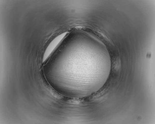 X0000091470661200709061819