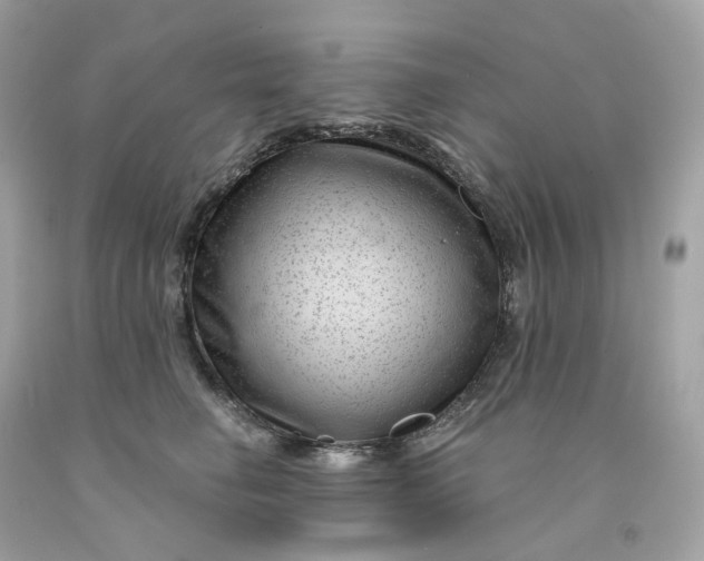 X0000091470662200709061819