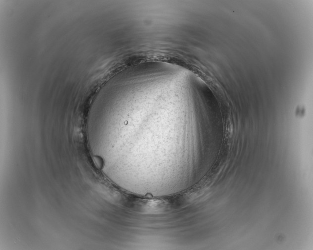 X0000091470663200709061819