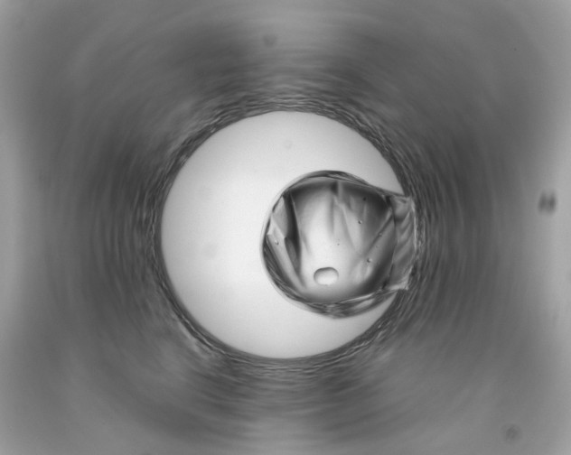 X0000091470664200709061819