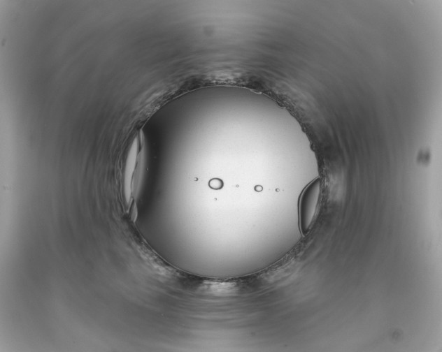 X0000091470665200709061819