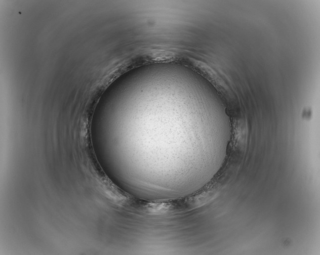 X0000091470667200709061819