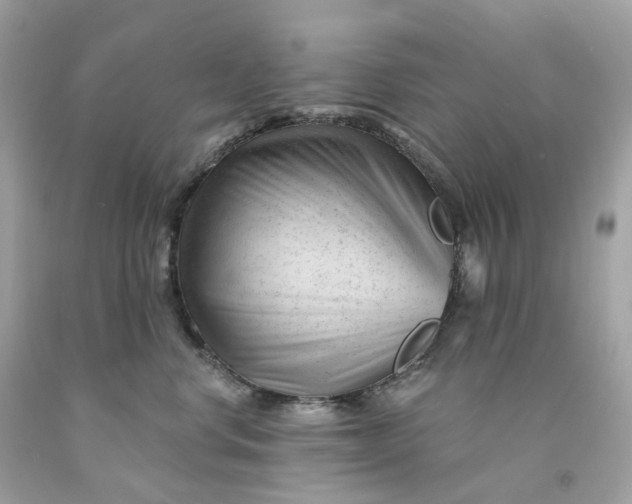 X0000091470668200709061819