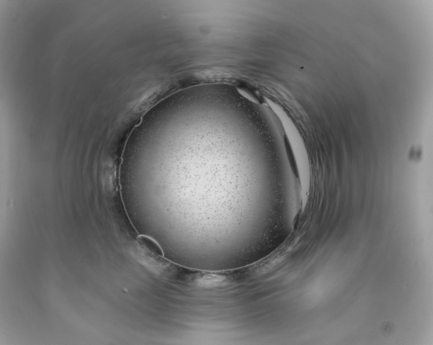 X0000091470669200709061819