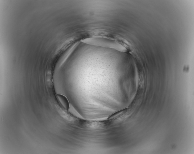 X0000091470670200709061819