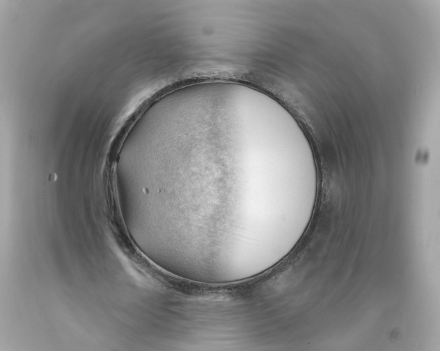 X0000091470674200709061819