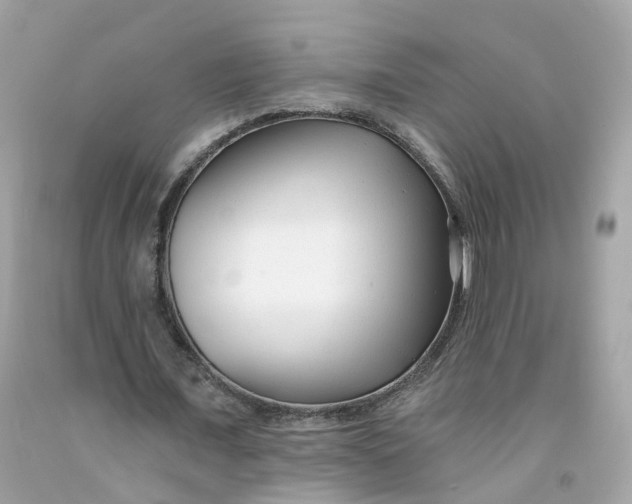 X0000091470675200709061819