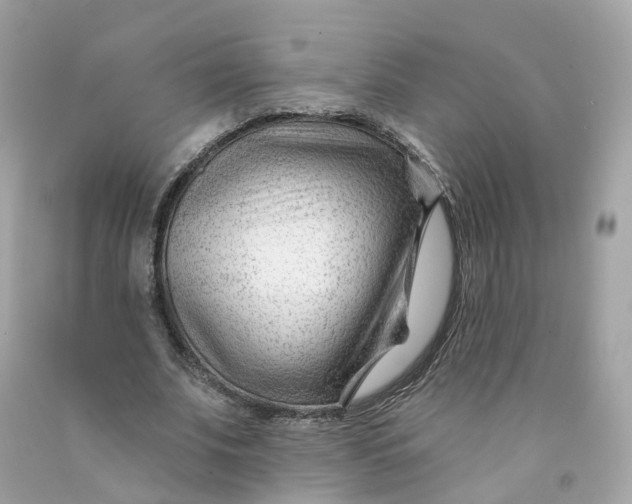 X0000091470679200709061819