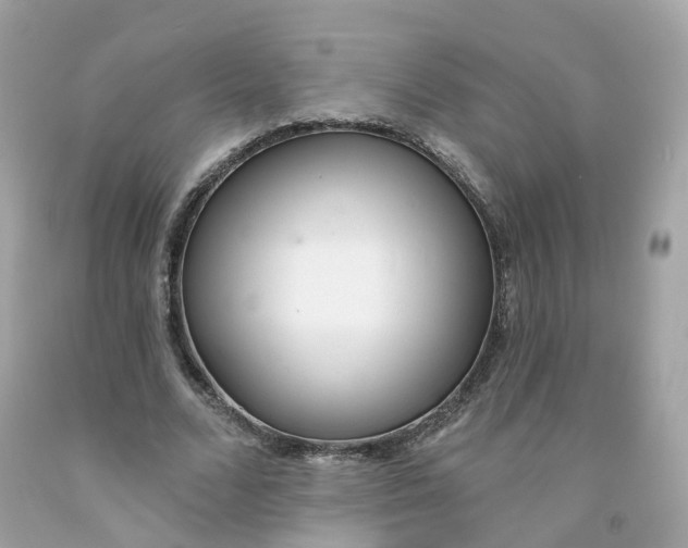 X0000091470680200709061819