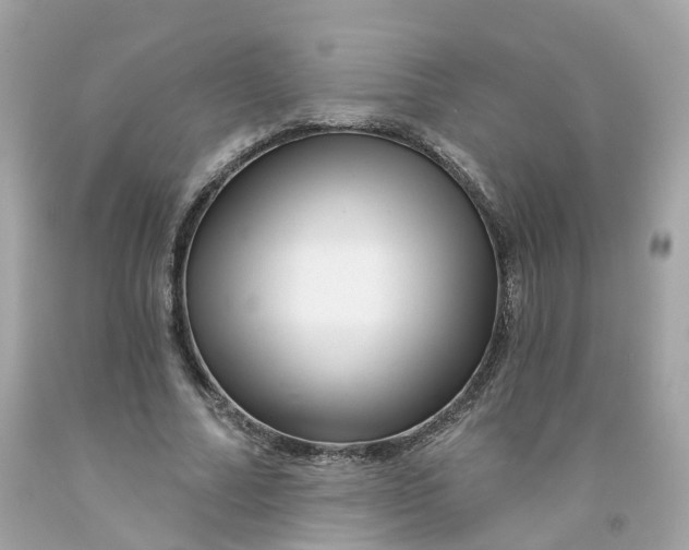 X0000091470682200709061819