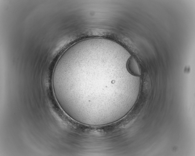 X0000091470683200709061819