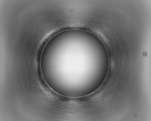 X0000091470684200709061819