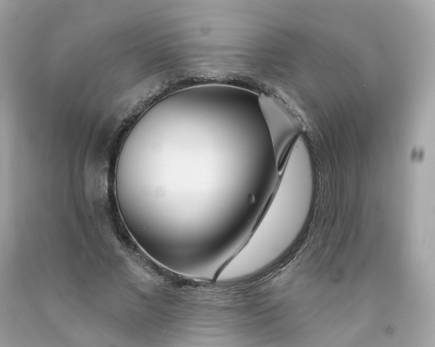 X0000091470685200709061819