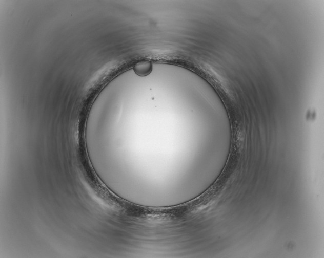 X0000091470686200709061819