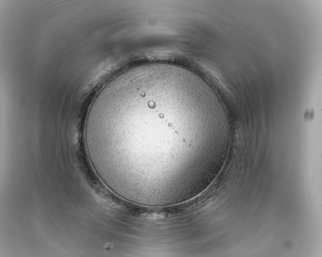 X0000091470687200709061819